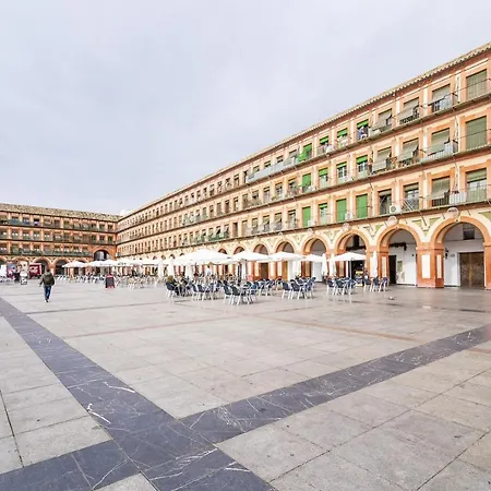 Apartament Lightbooking Plaza Corredera *